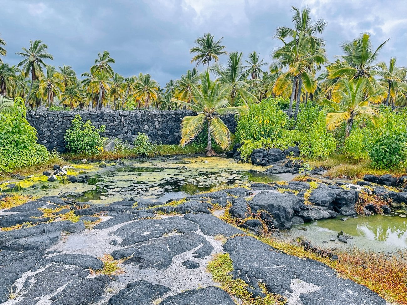 Fish Ponds at Puuhonua O Honaunau