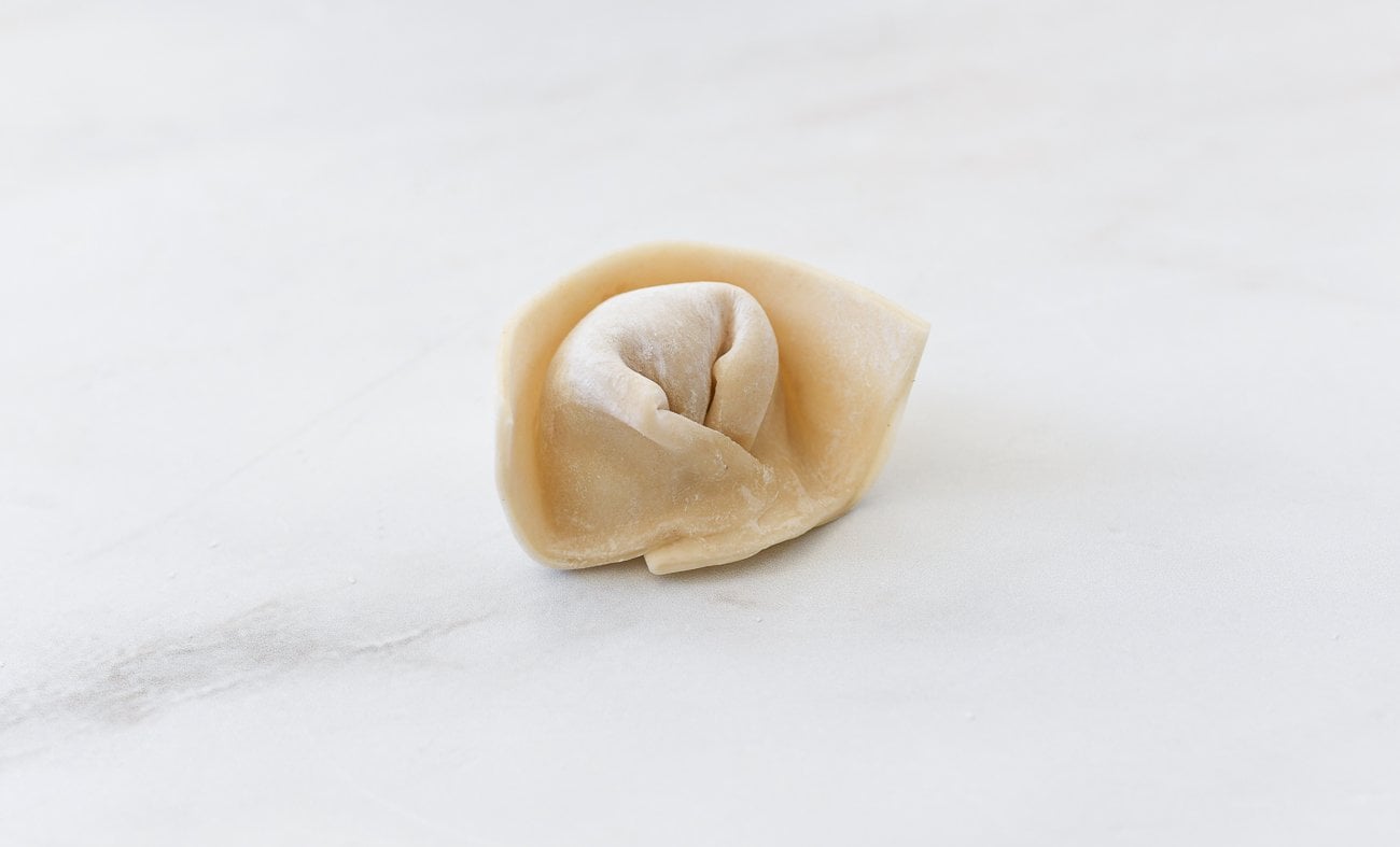 assembled wonton