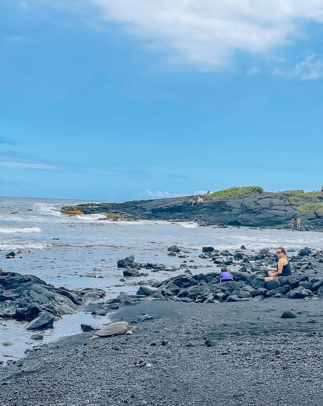 Sea turtle on Punalu'u Black Sand Beach
