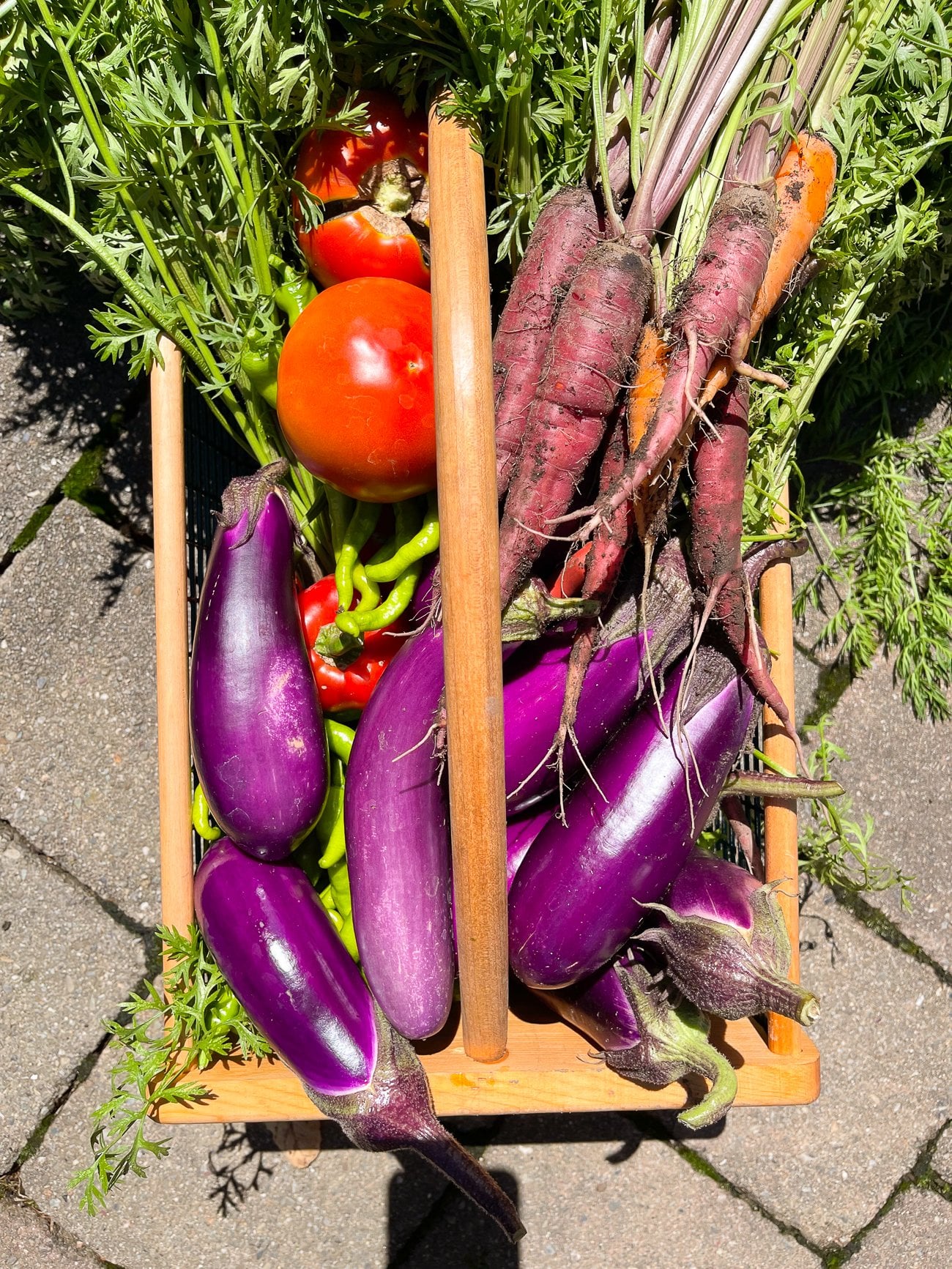 basket of garden produce