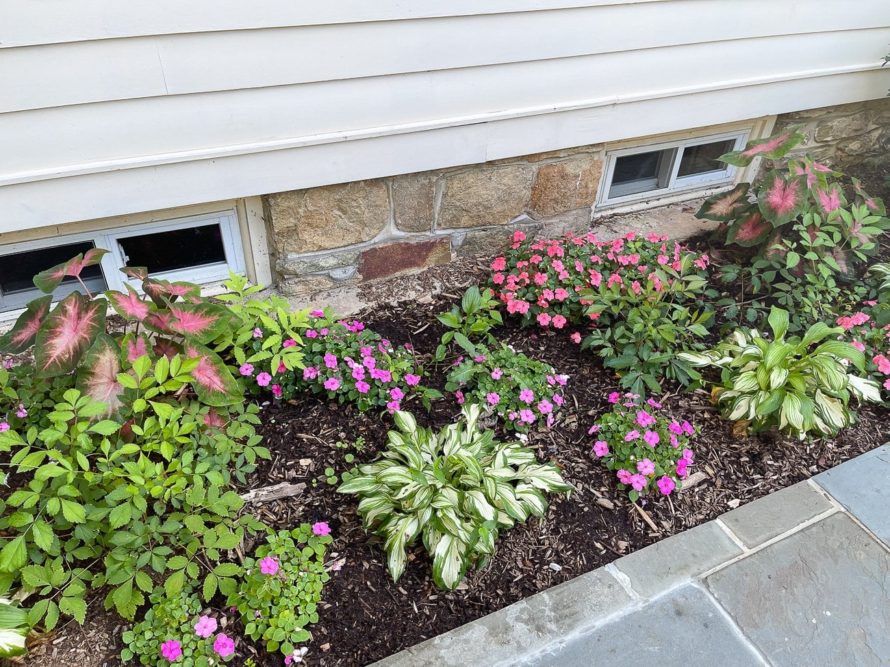 impatiens and caladiums