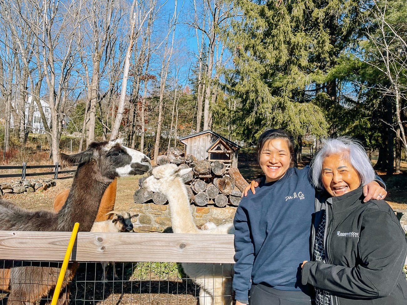 Sarah and grandma with herd