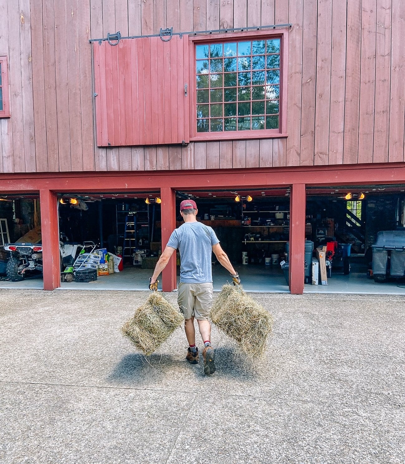 carrying hay bales into barn