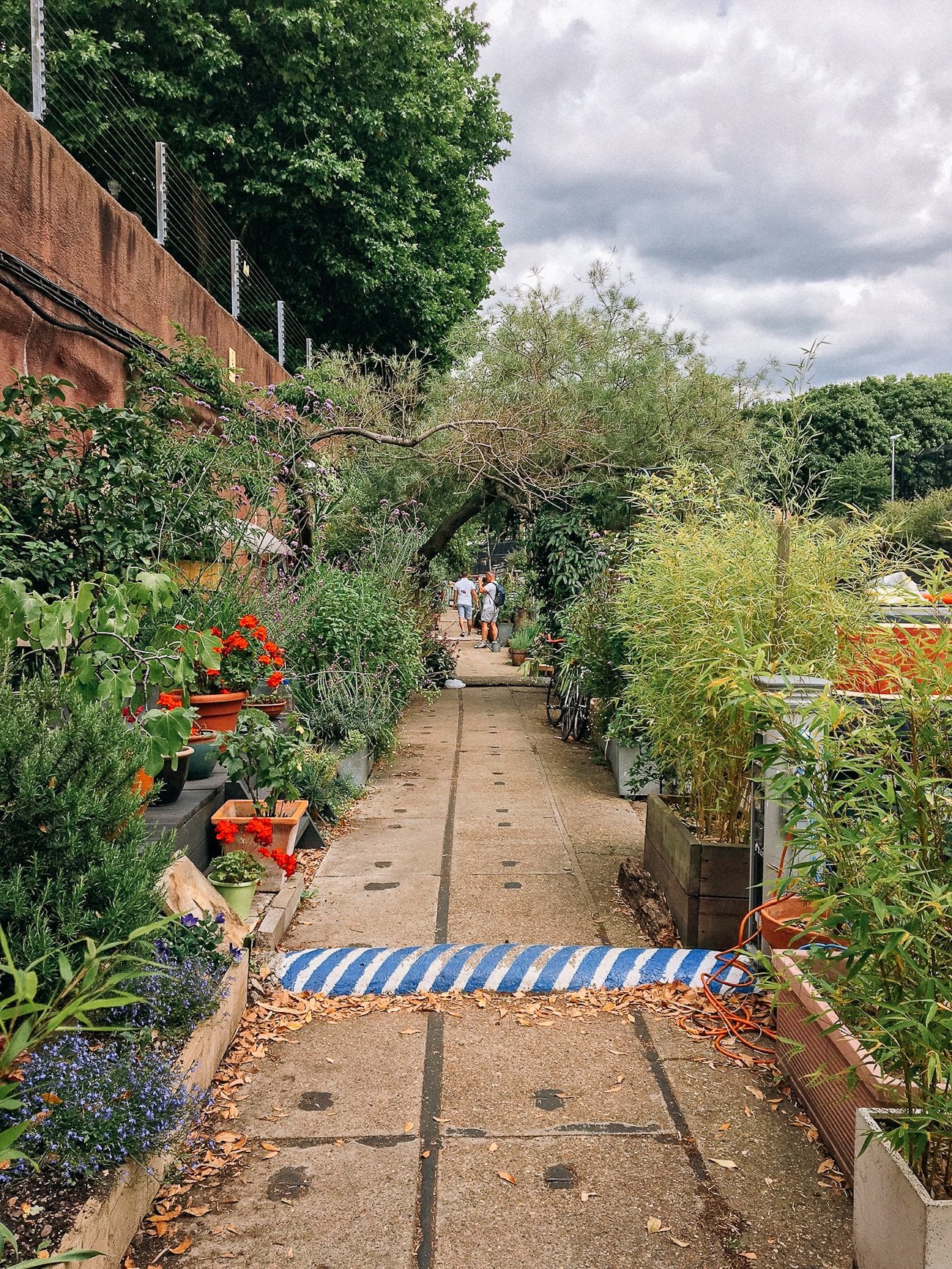 Little Venice garden-covered sidewalk