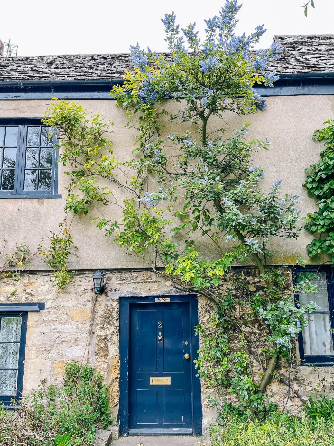 Vines climbing an old low building with a blue door and pale stone walls