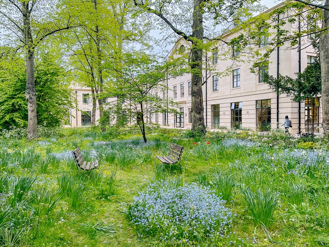 Benches in a flowery meadow outside an Oxford University building