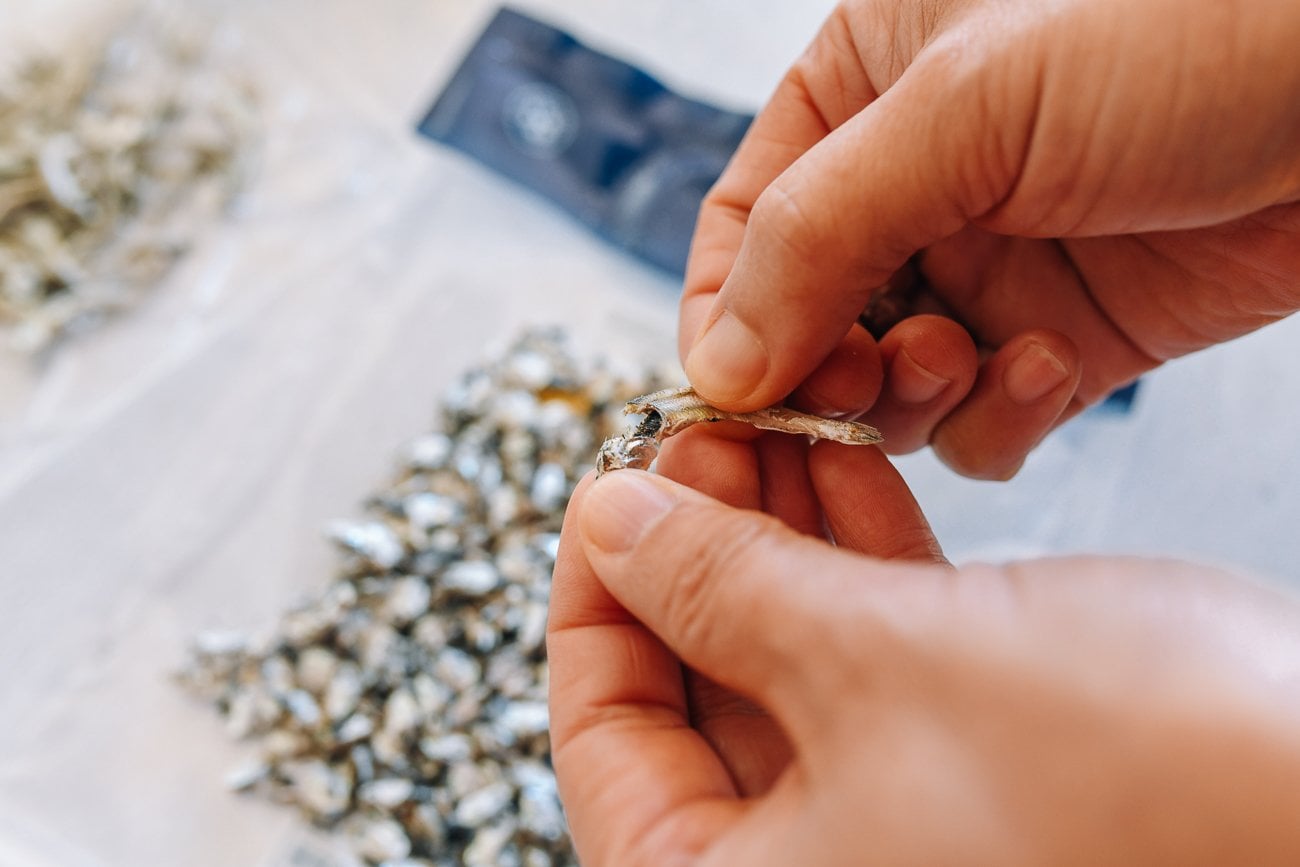 Removing head and guts from dried anchovy