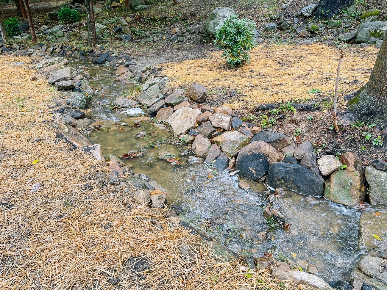 Stream bed