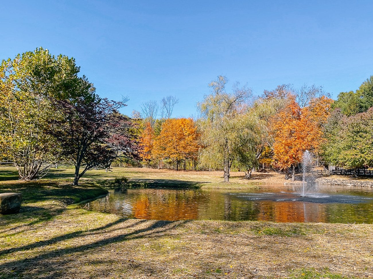 straw covering grass seed around pond