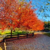 TWOL Fall Garden Tour 2022