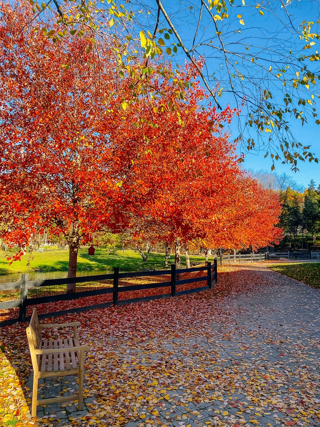 Fall Garden Tour 2022