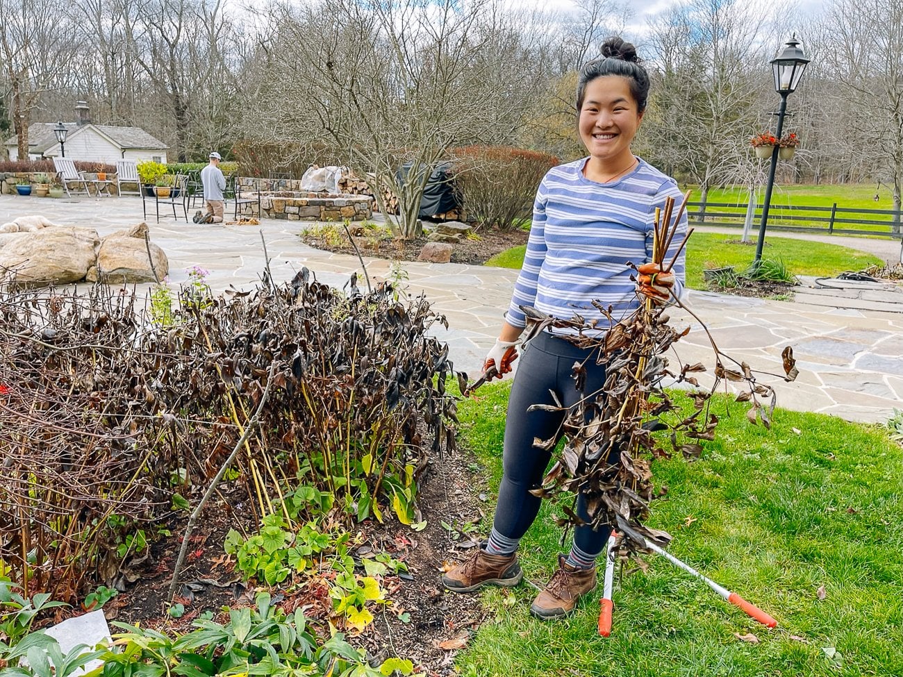 Sarah cleaning up peony bed in fall