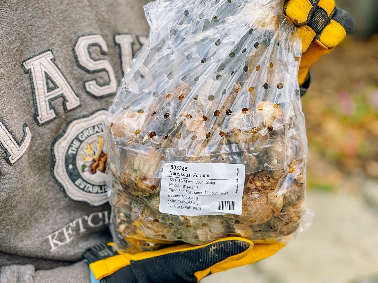bag of daffodil bulbs