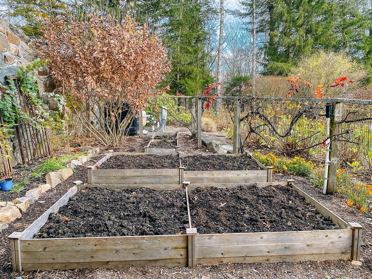 raised beds in kitchen garden