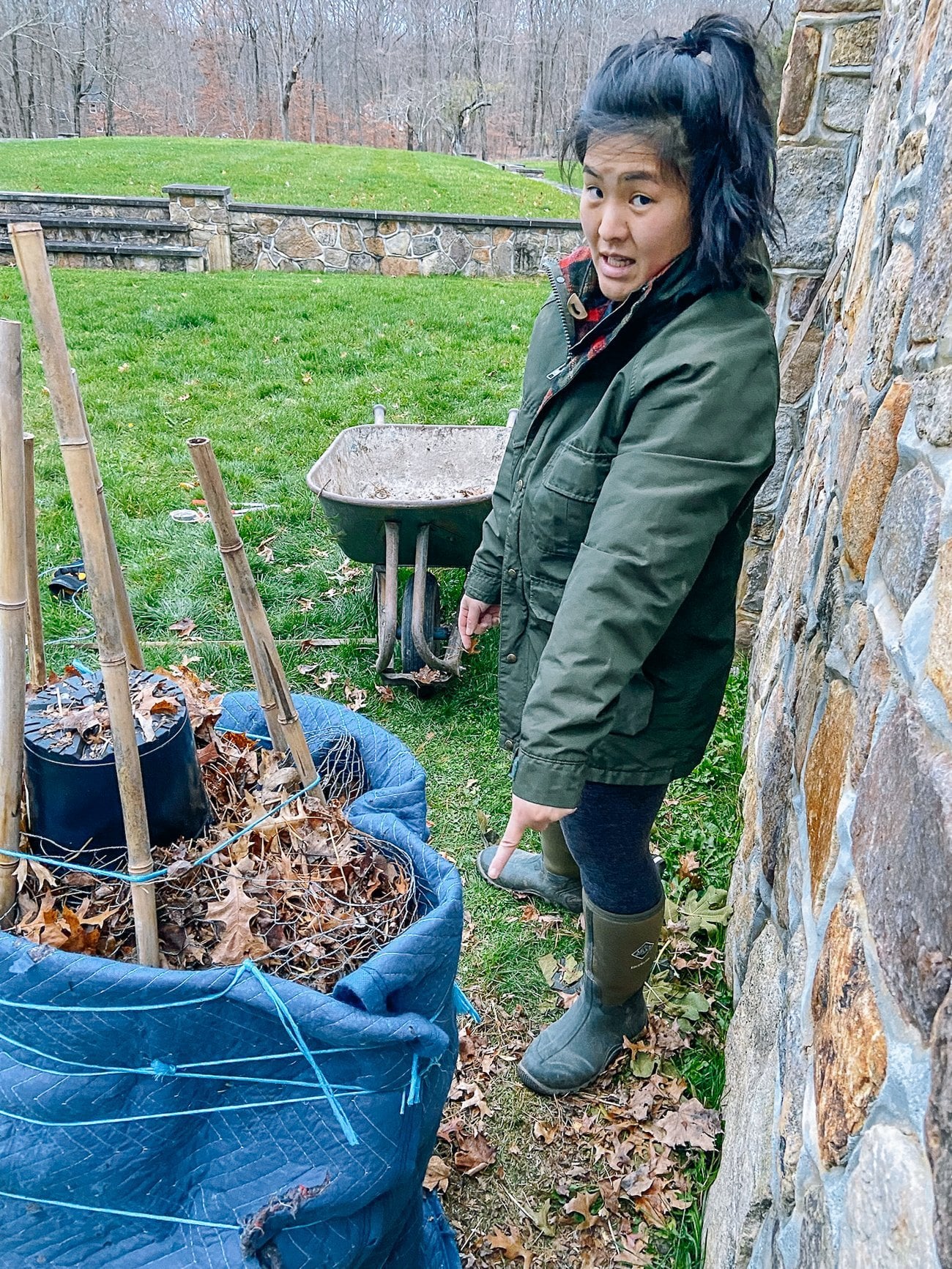 Sarah pointing to twine tied around moving blanket around fig tree