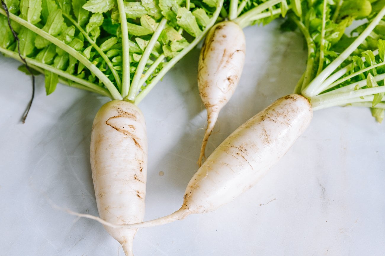three small freshly harvested daikon radishes