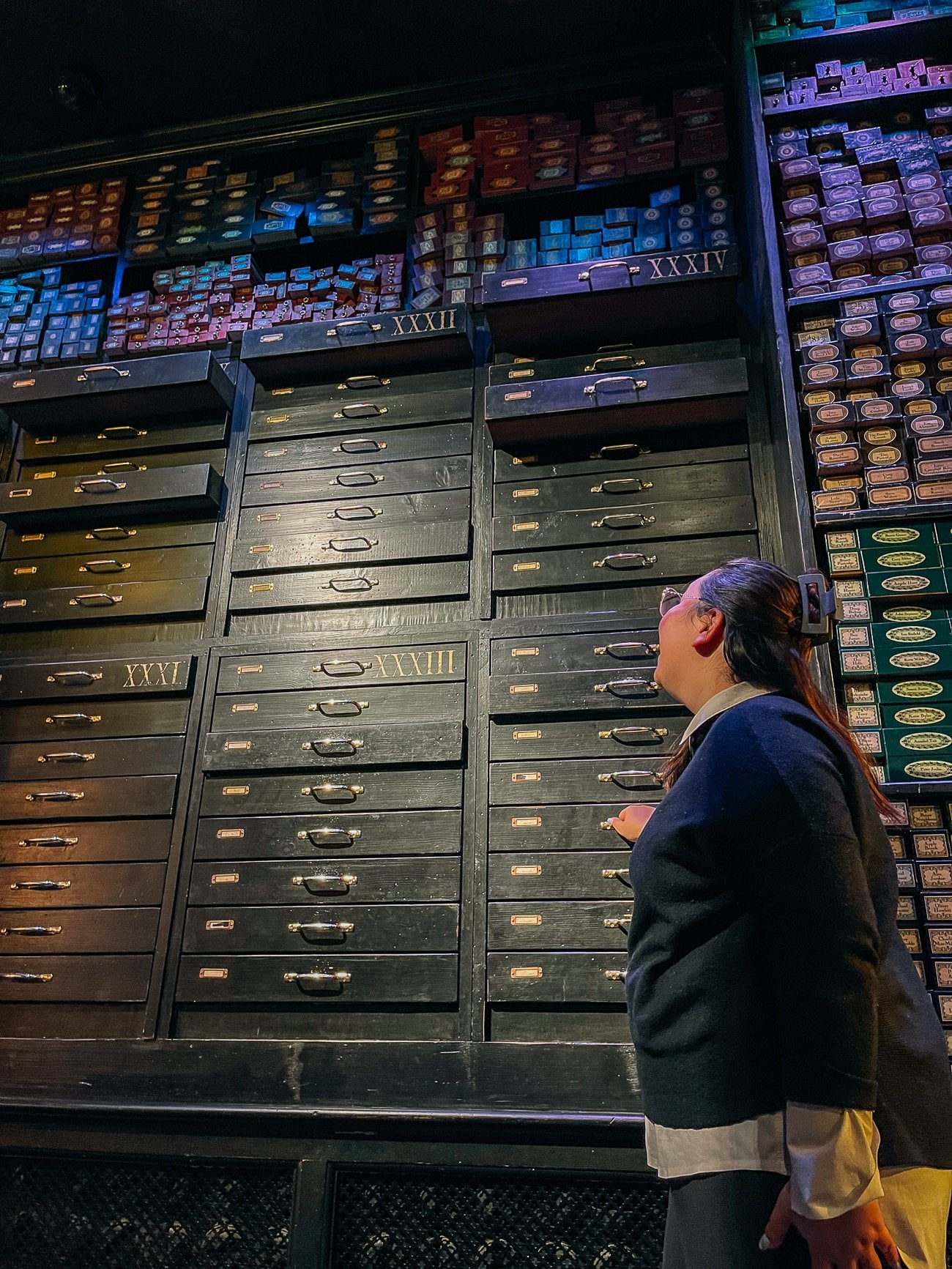 Harry Potter Studio Tour wand shop with wall of wand boxes and Kim