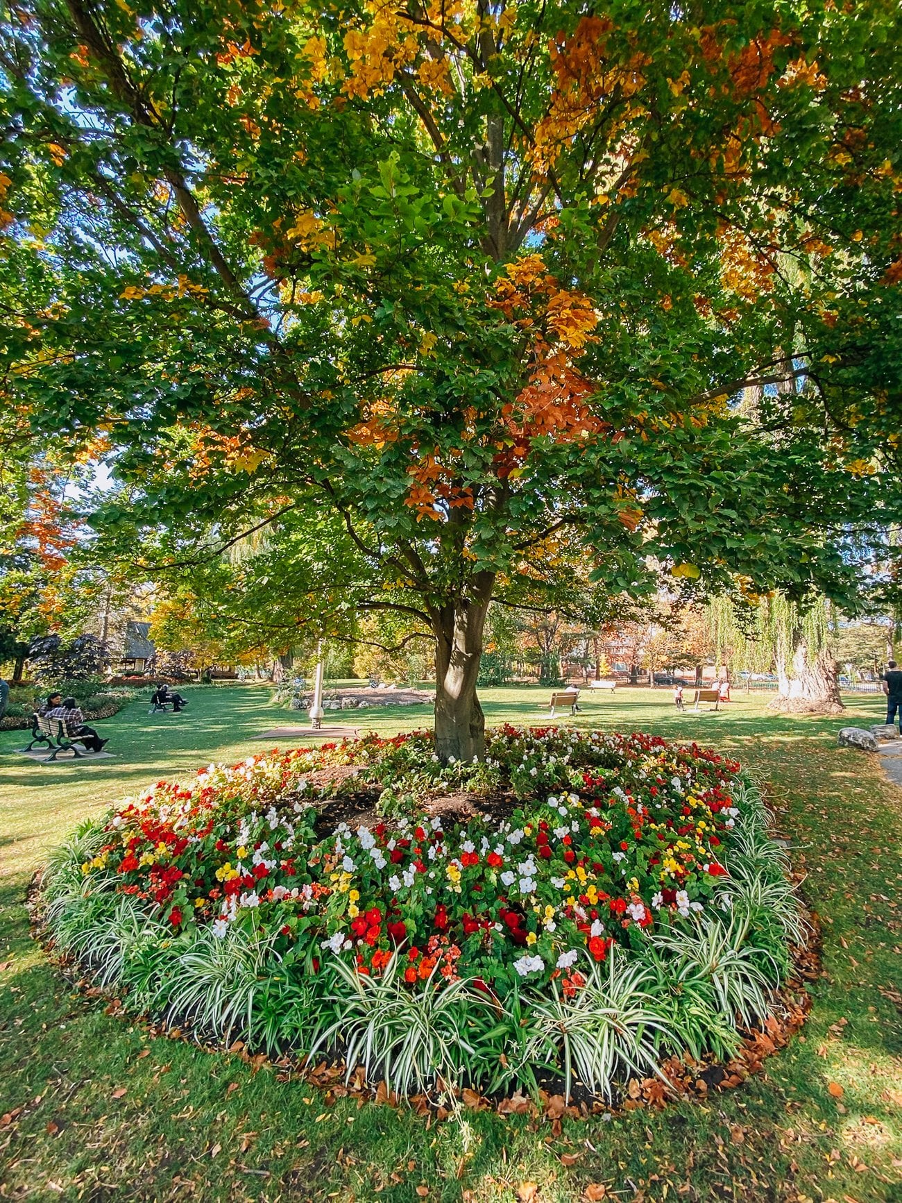 Toronto Botanical Garden planting
