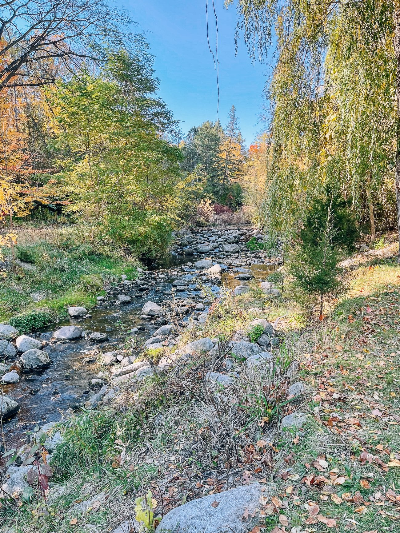 Toronto Botanical Garden Stream