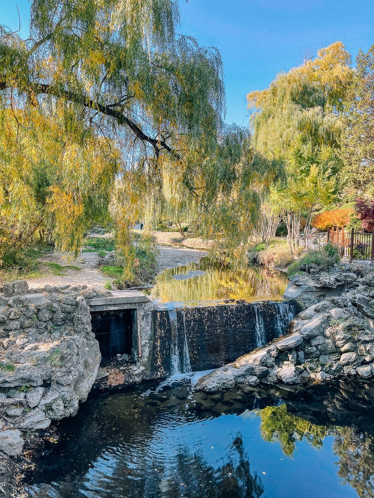 Toronto Botanical Garden Waterfall