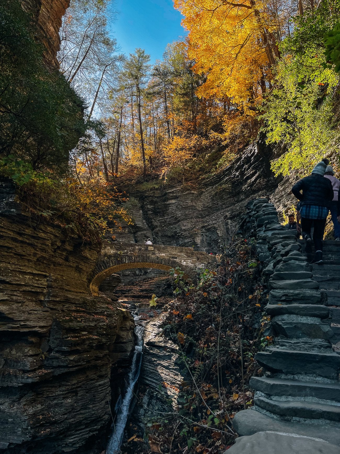gorge at watkins glen state park