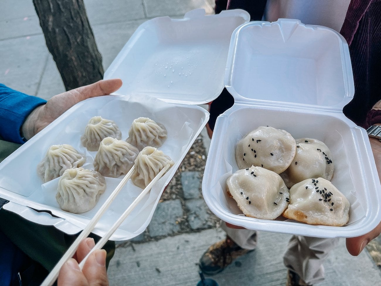 Juicy Dumpling soup dumplings and fried dumplings Toronto
