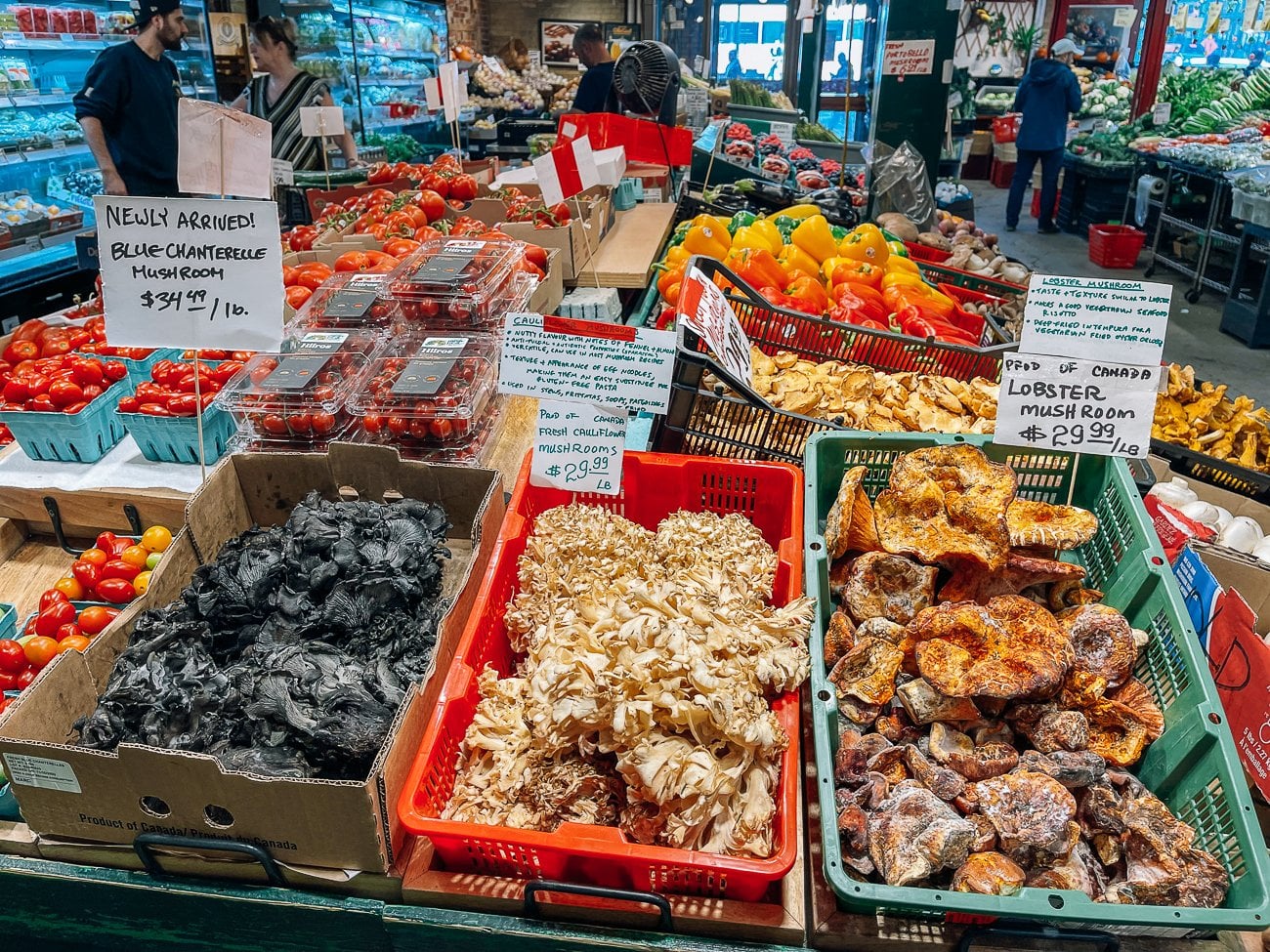 Mushrooms at St. Lawrence Market