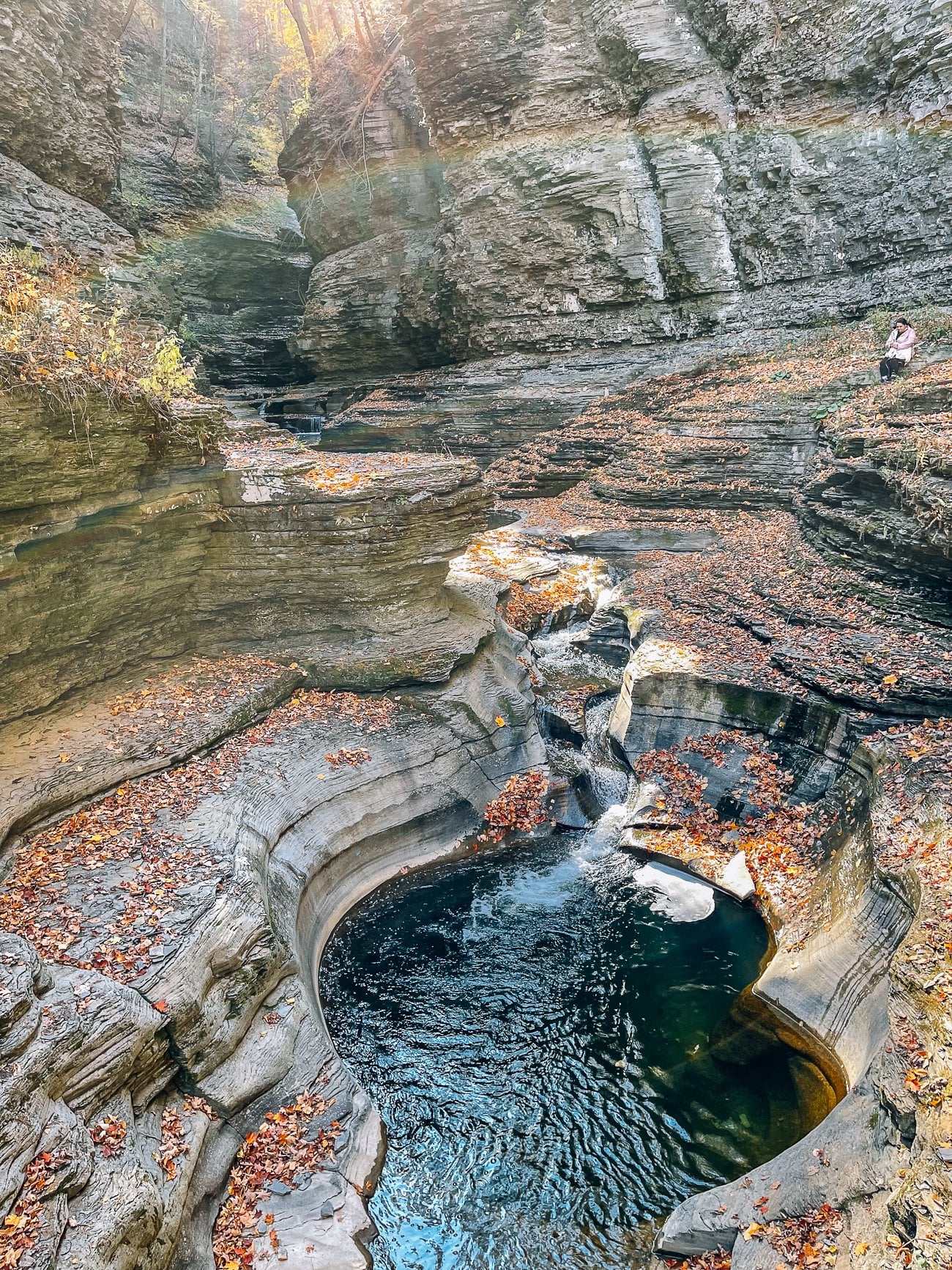 Watkins Glen State Park Gorges
