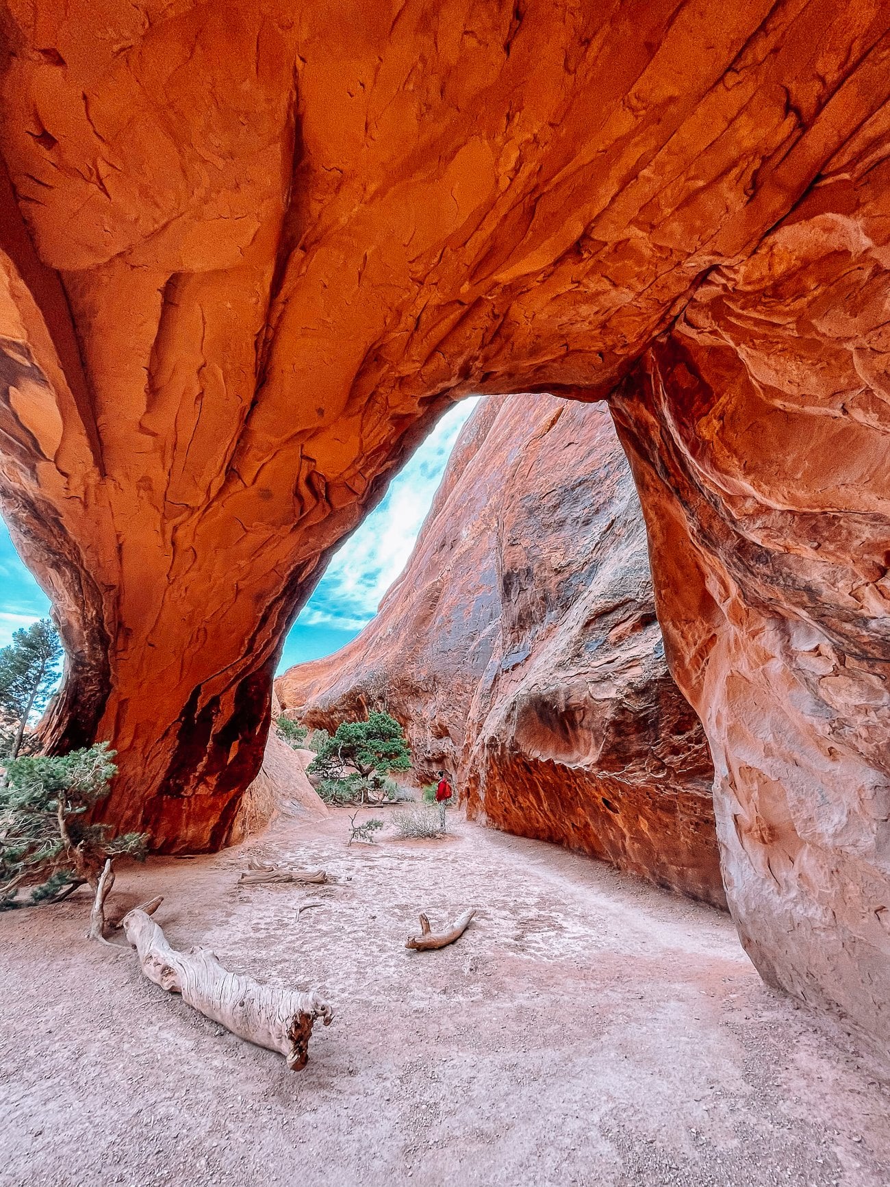 Arches National Park