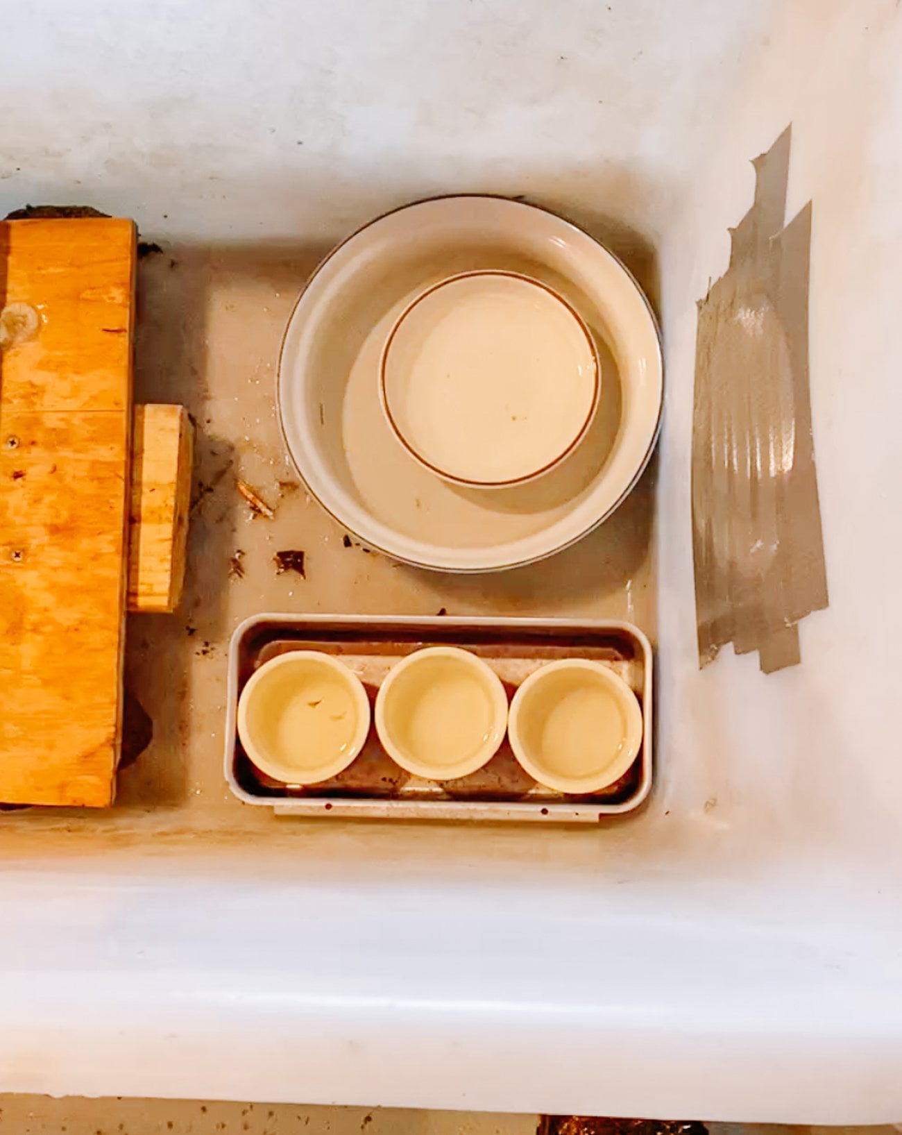 ducklings water trays