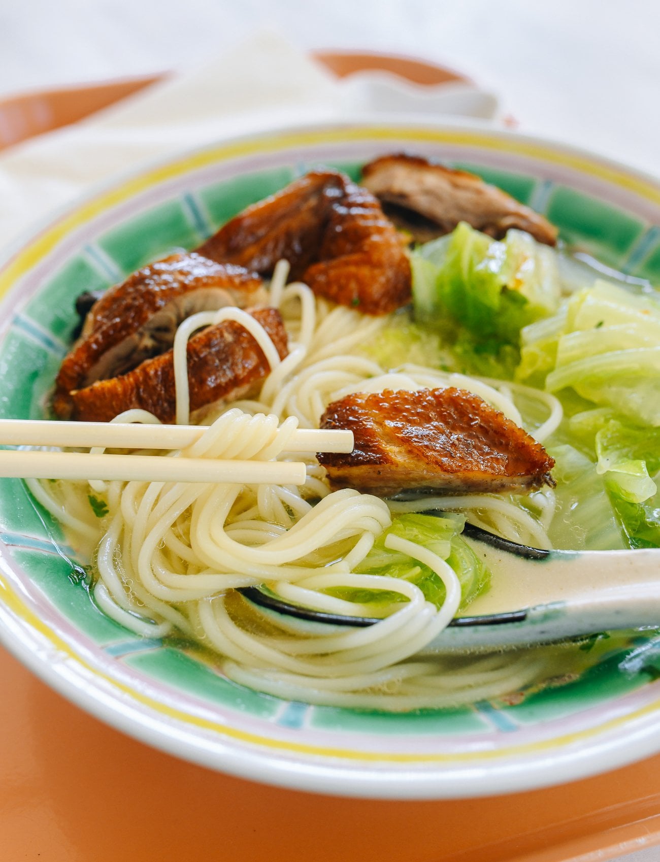 duck noodle soup recipe
