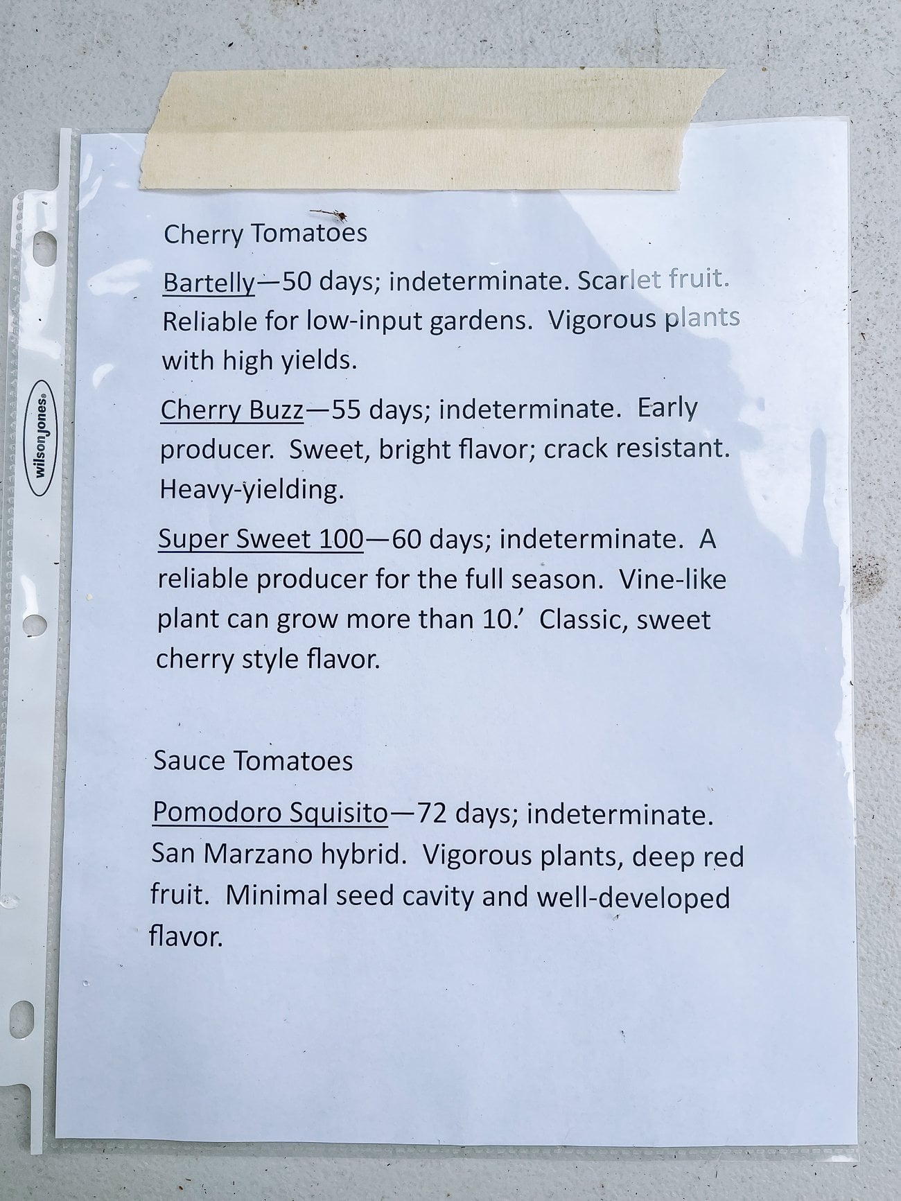 List of tomato varieties