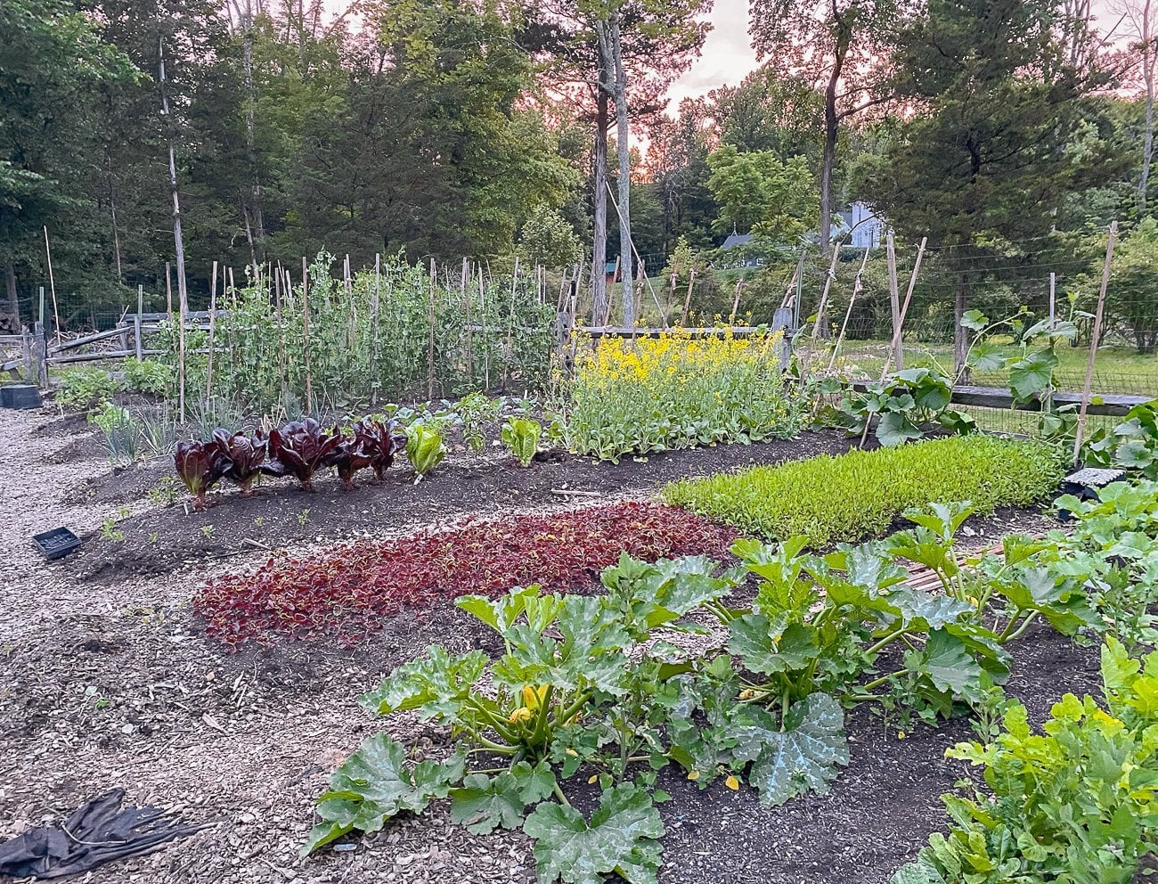the woks of life vegetable garden