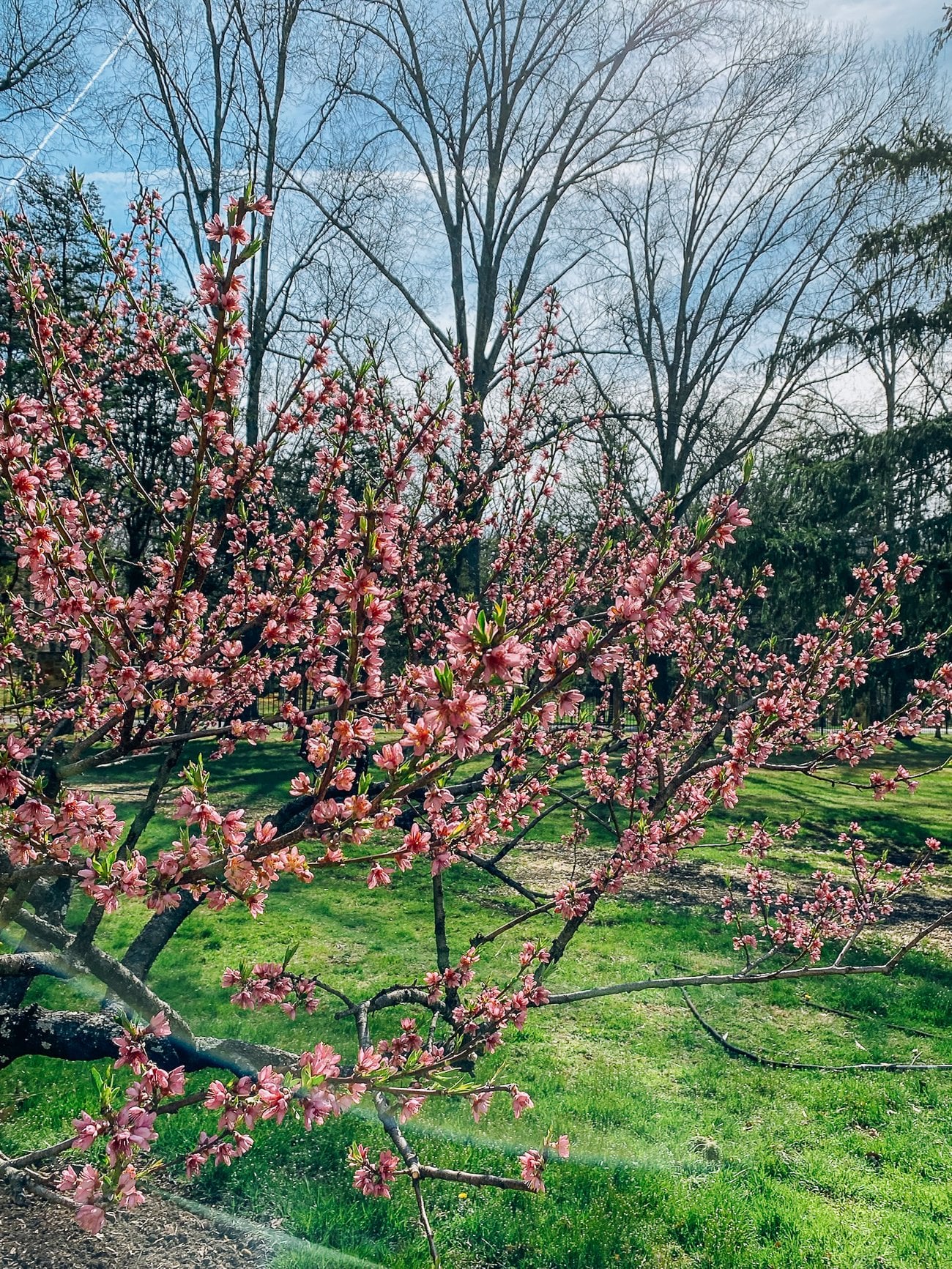 Farm Update: Spring 2023