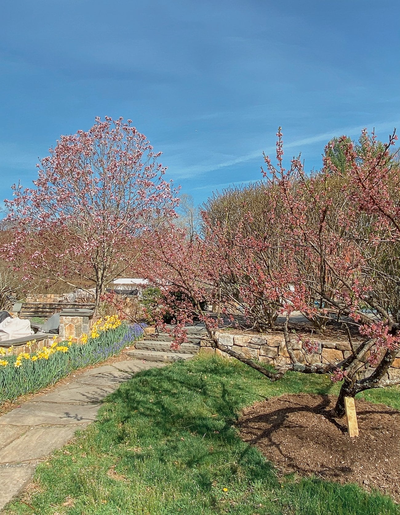 spring in the woks of life garden