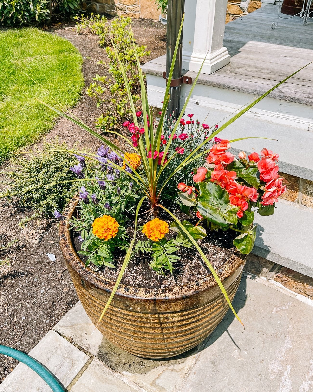 large flower pot with marigolds, begonias, lavender, dianthus