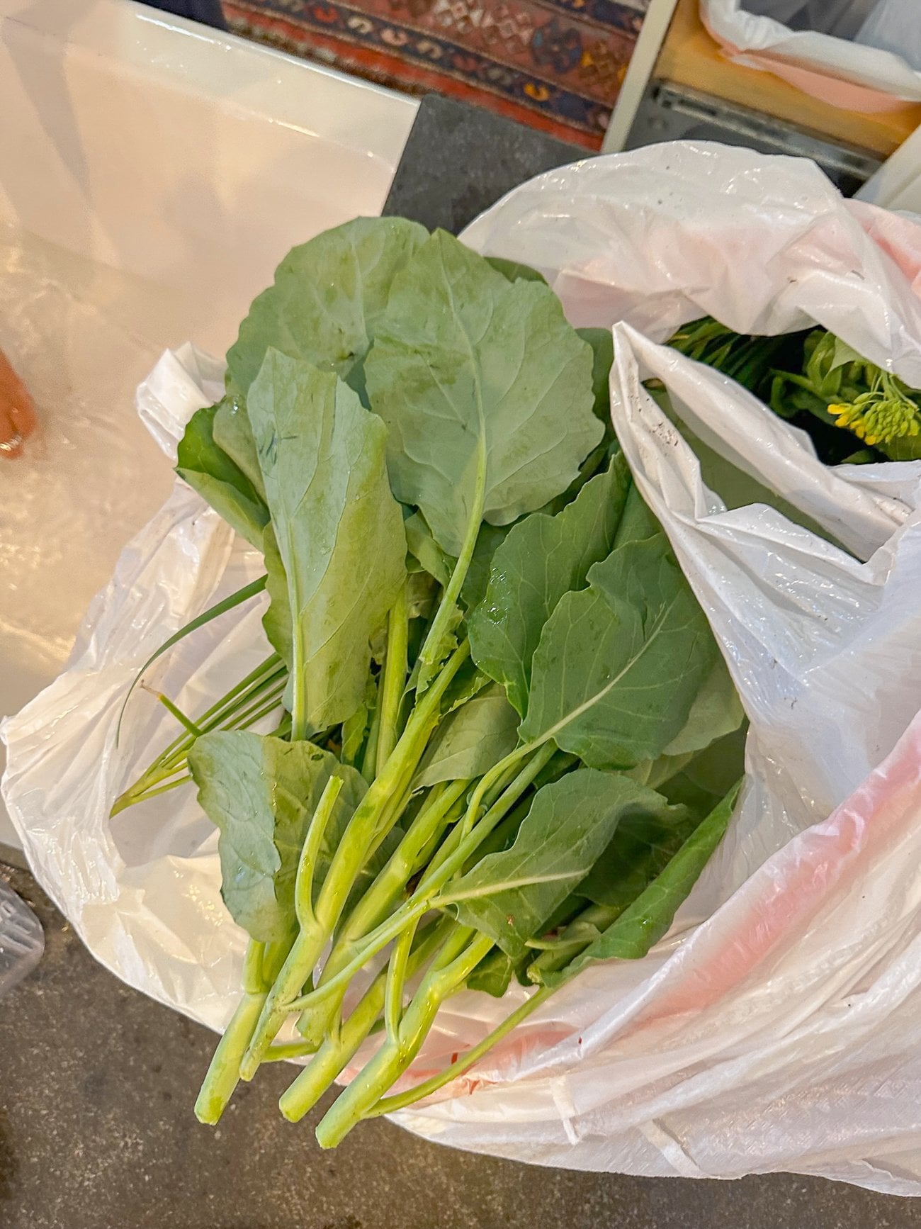 A white plastic bag full of homegrown Chinese broccoli