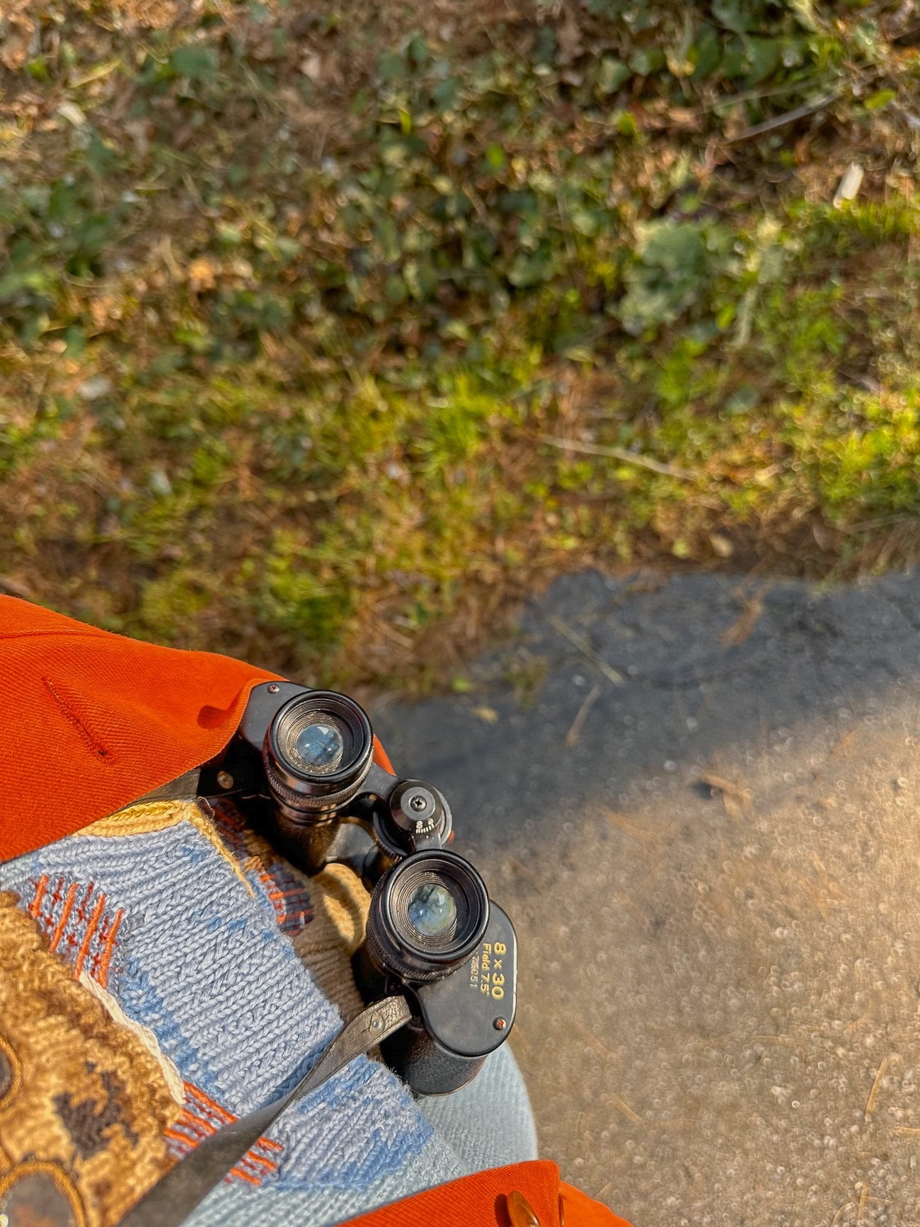 Wearing binoculars against a blue sweater with a red jacket