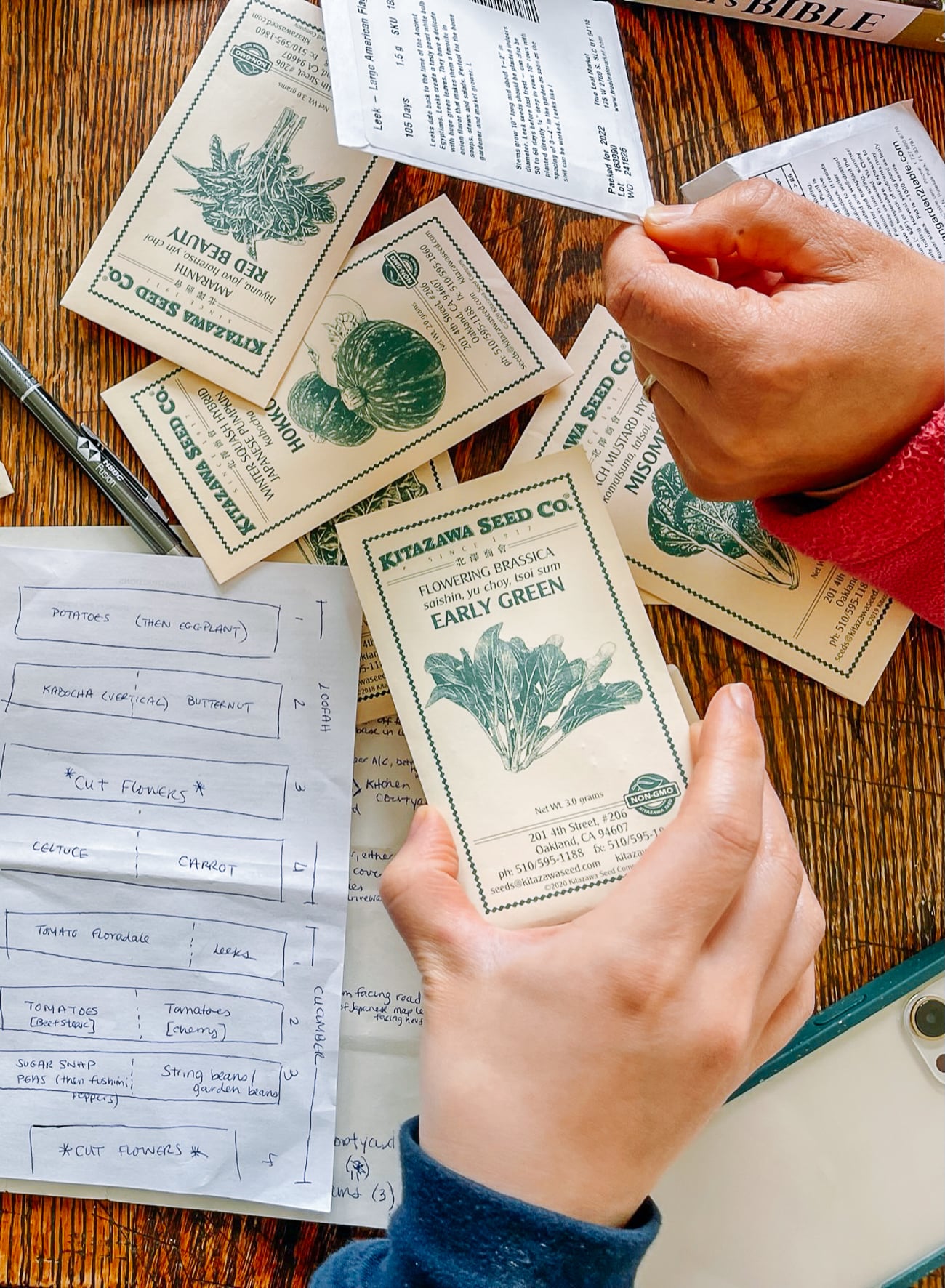 Choy Sum Early Green Seed Packet