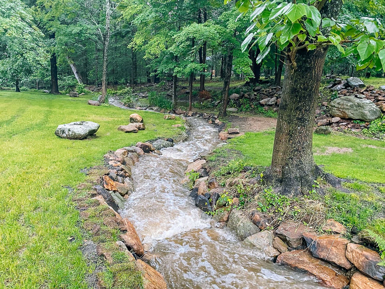 stream after big rain