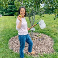 Judy holding up a freshly picked asian pear