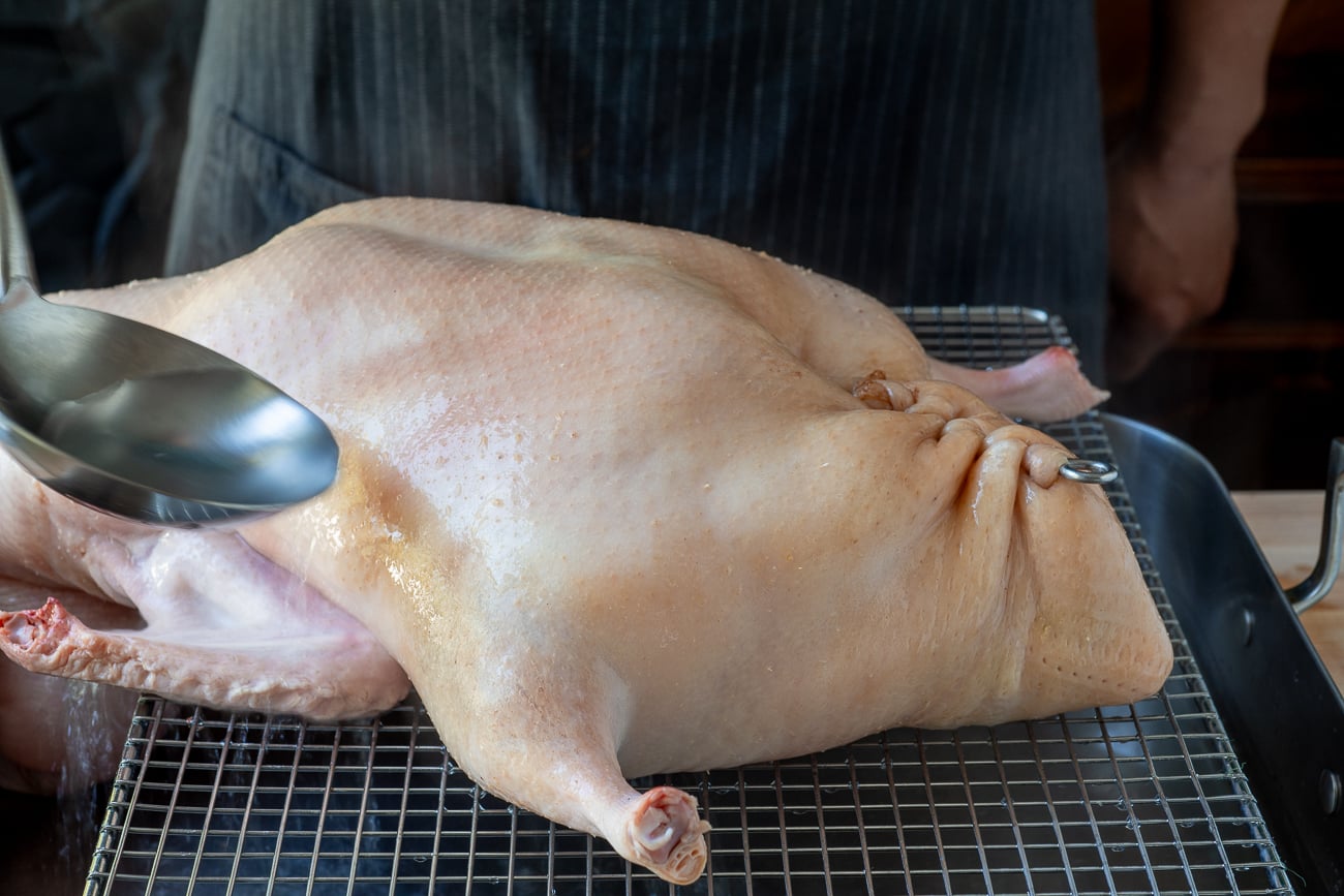pouring hot water over duck