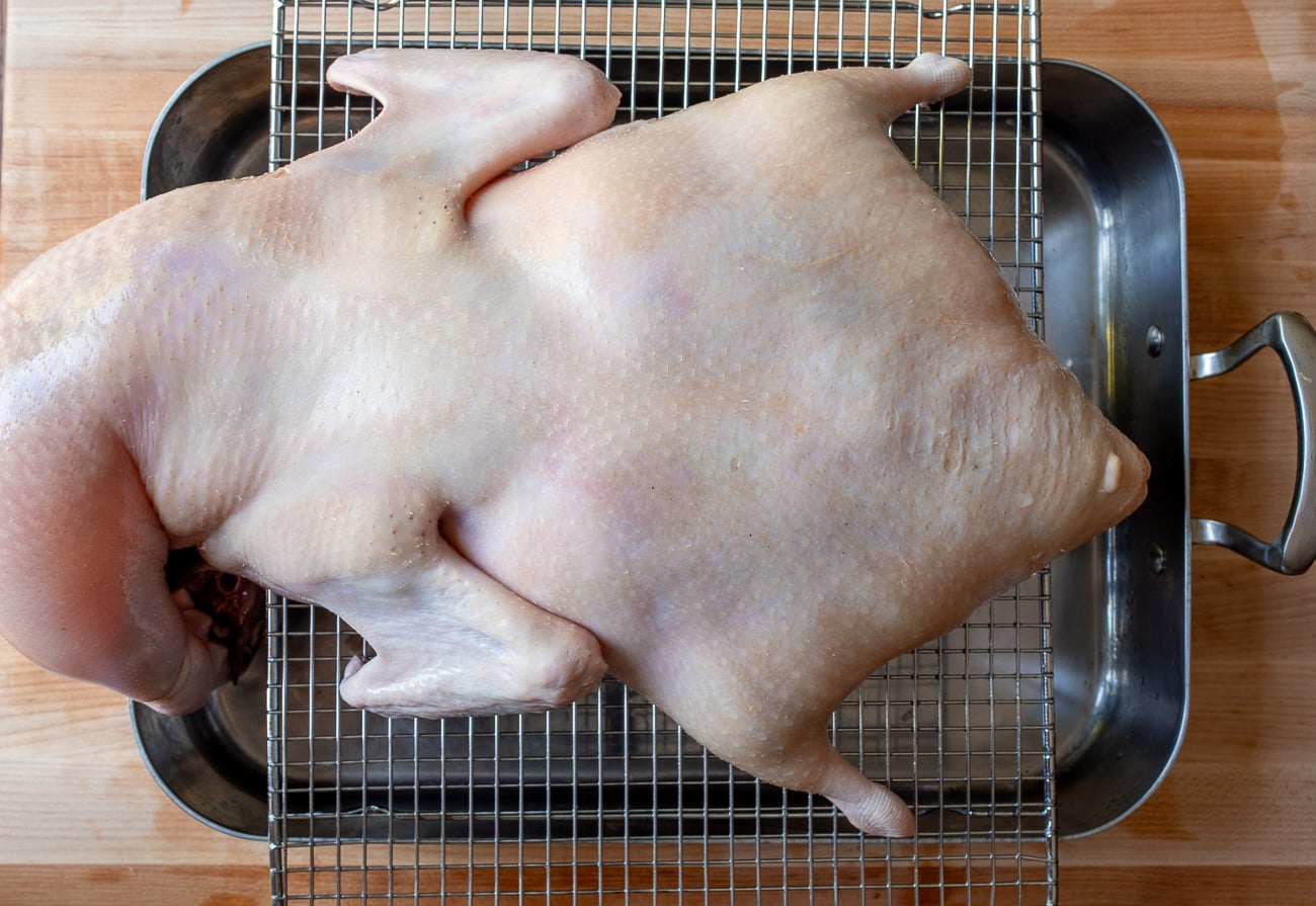 duck on rack over roasting pan