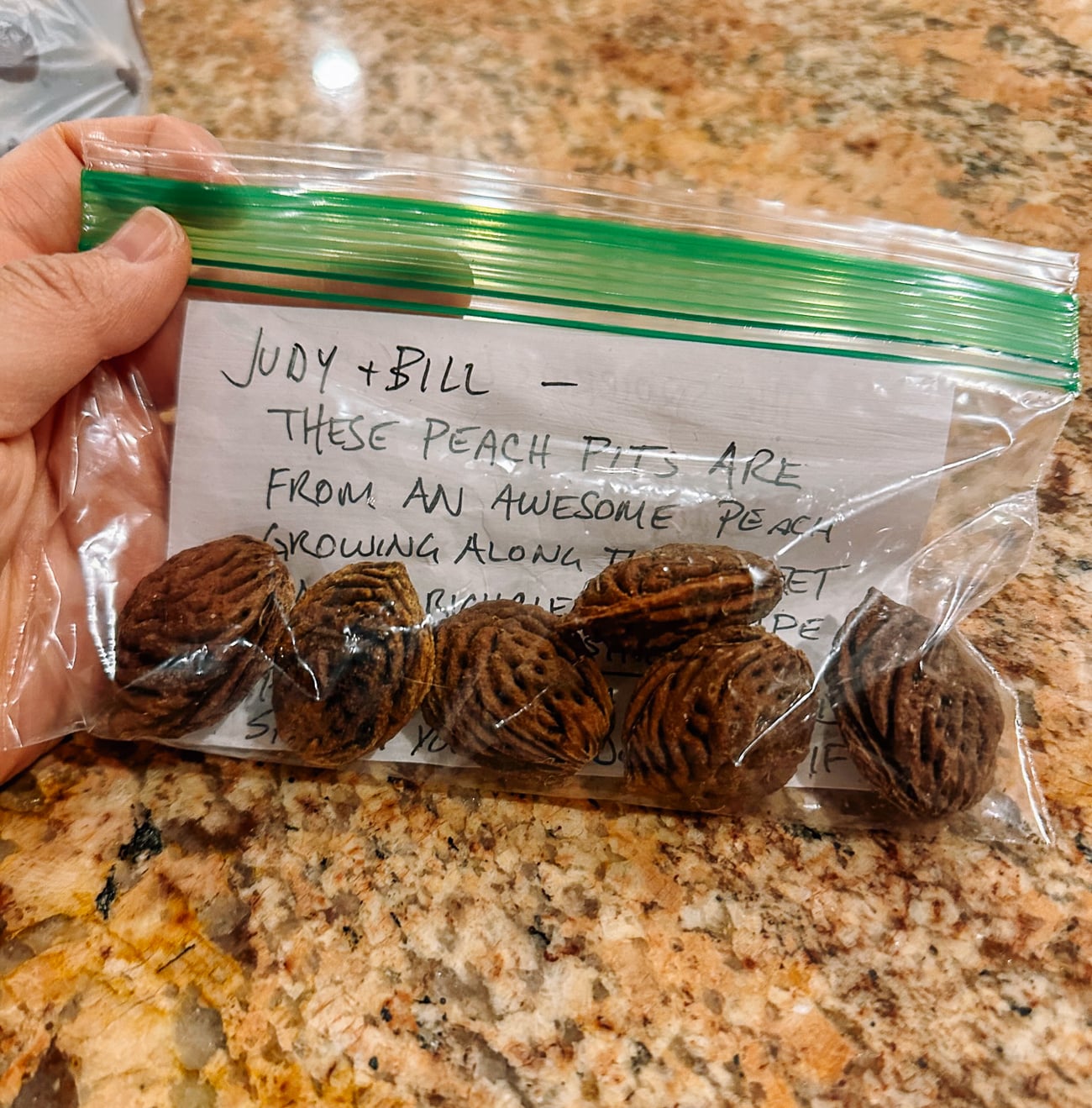 bag of peach pits for planting