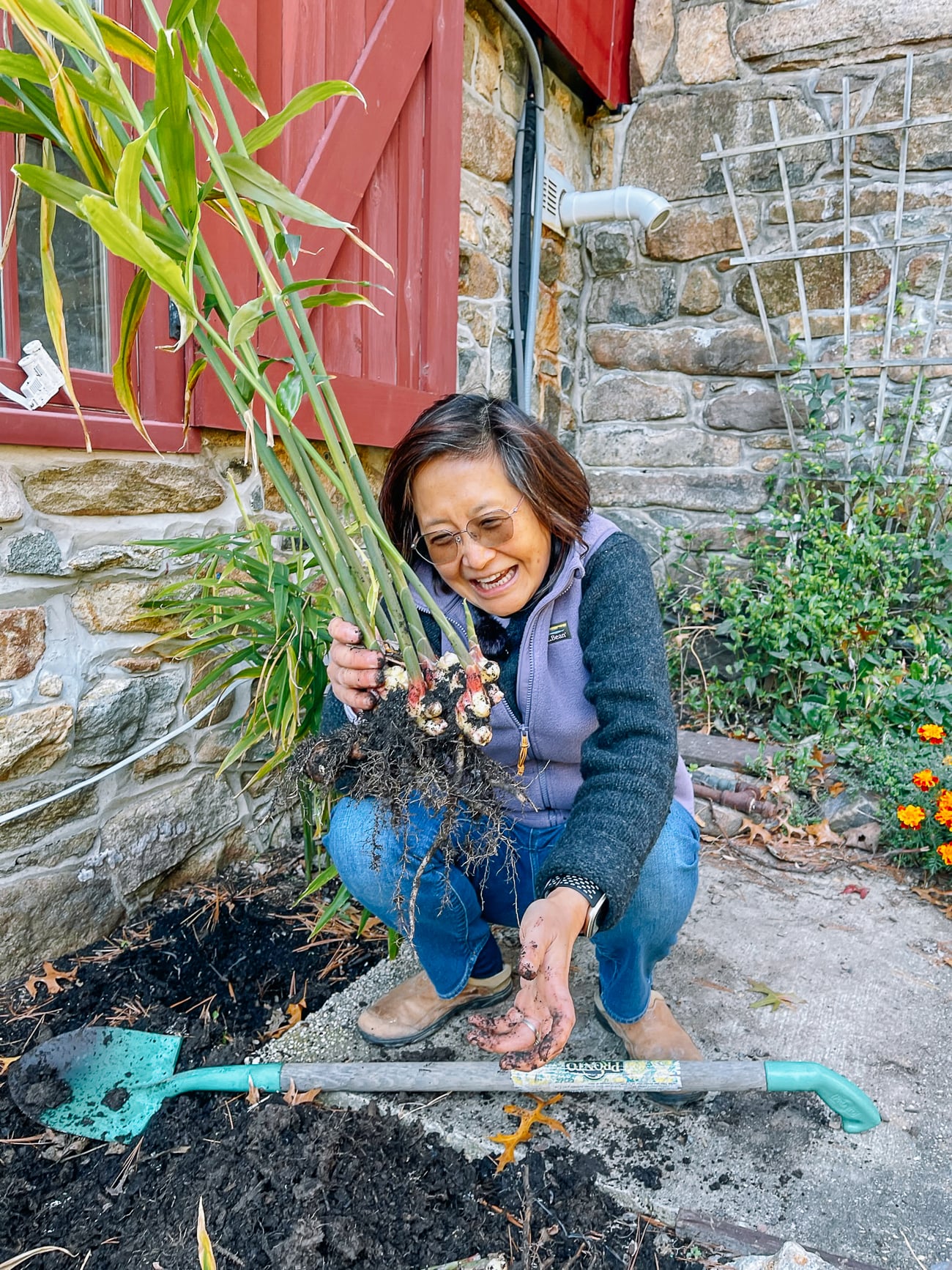 Judy with harvested young ginger