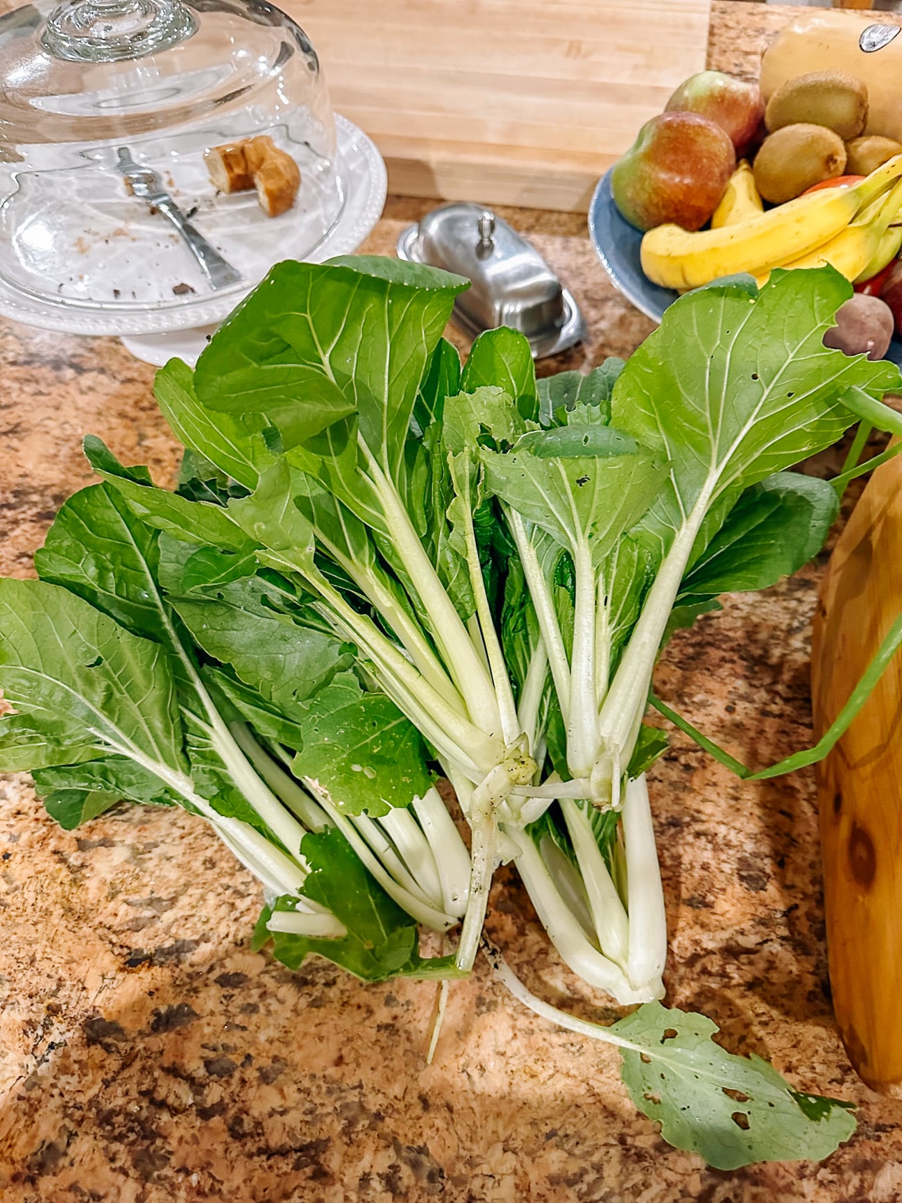 bok choy harvest