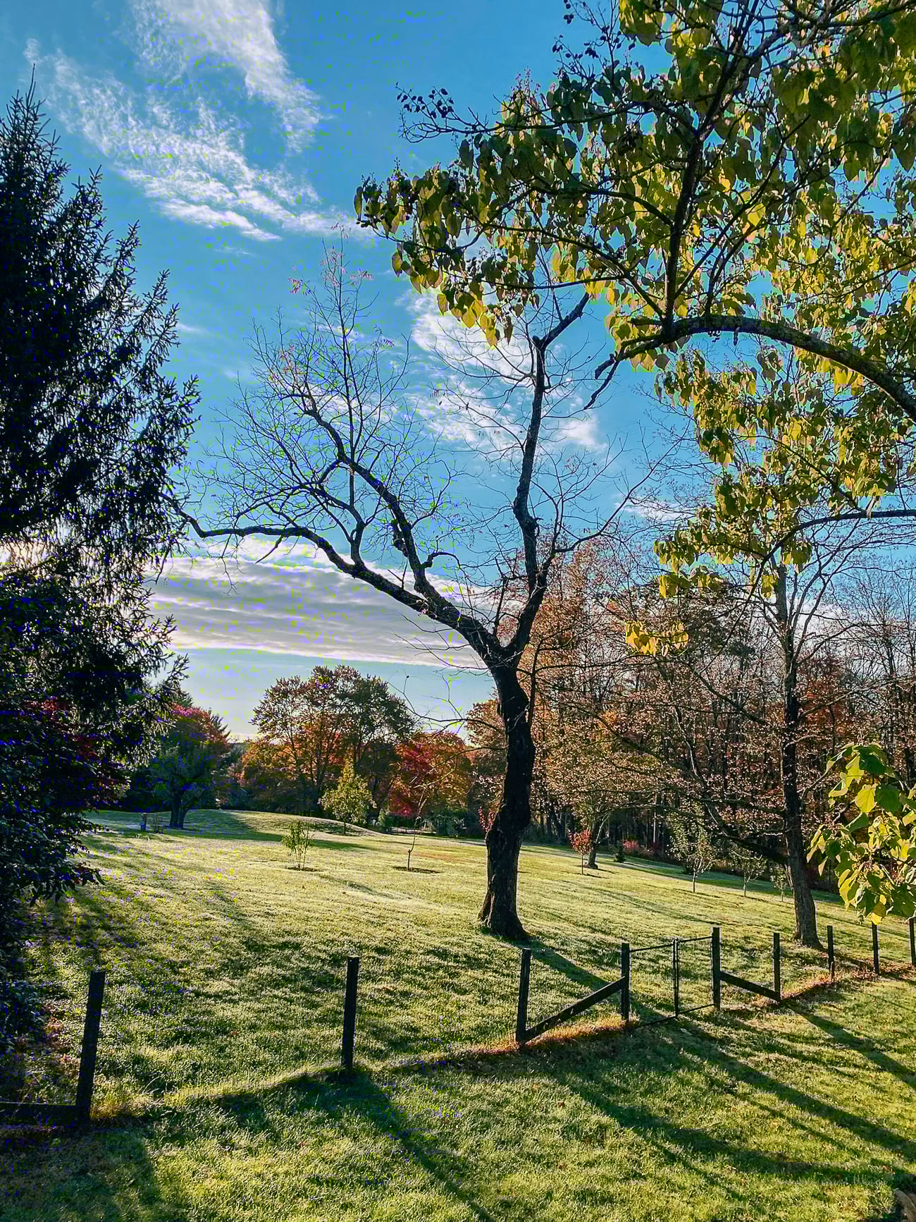 late summer/early fall landscape 