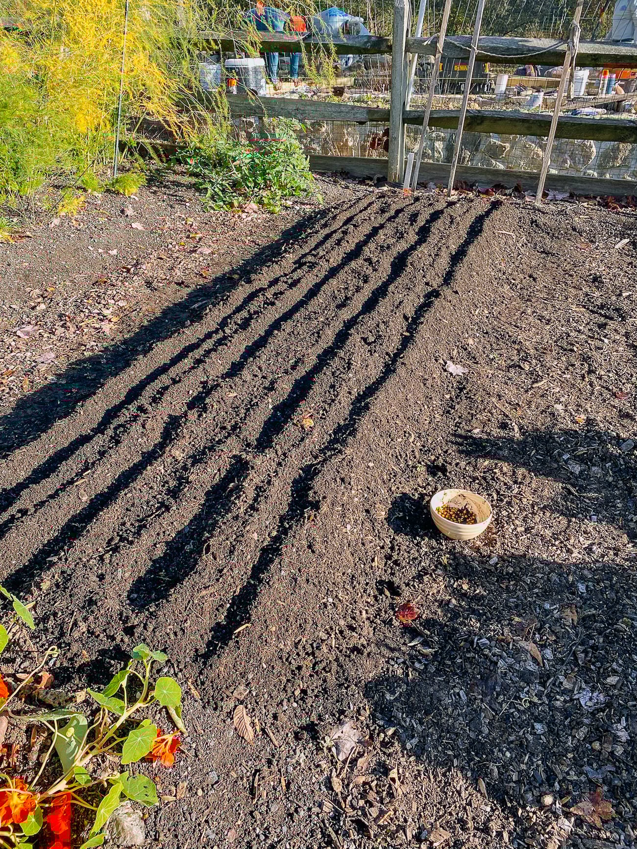 tilled garden bed