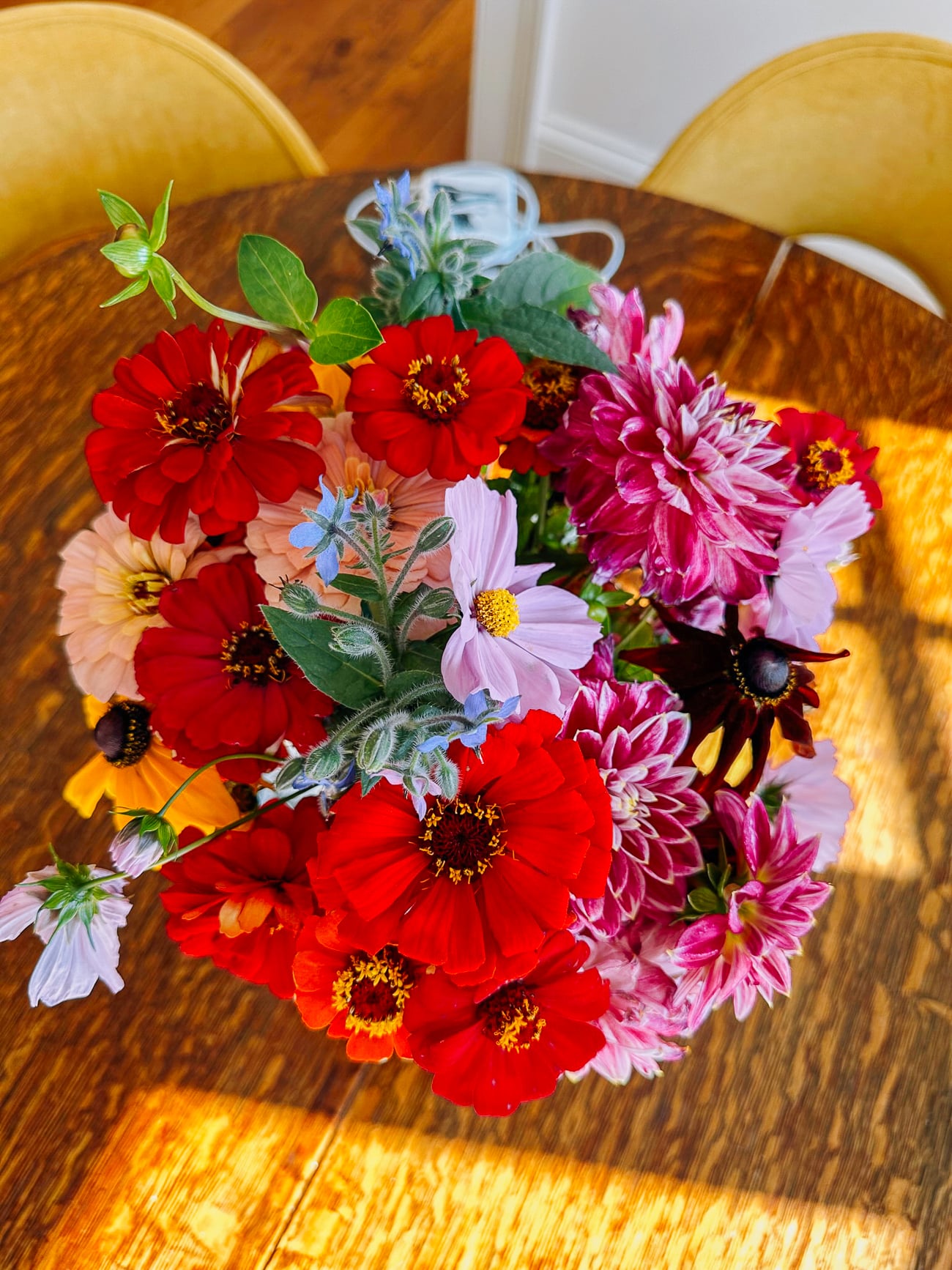 Flowers harvested from the garden