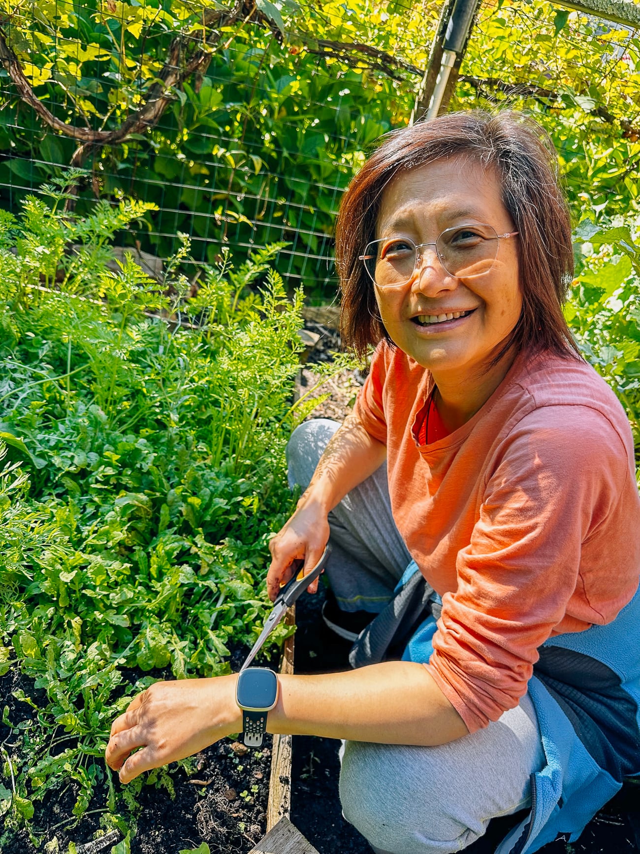 Judy harvesting shepherd's purse or ji cai